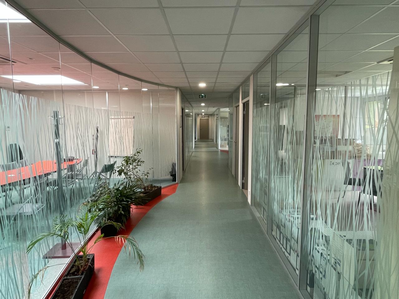 Local d'activité Ris-Orangis 1607m² Vente local d'activité Ris-Orangis Essonne OVACT2427668 4